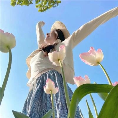 桃花坞开放中