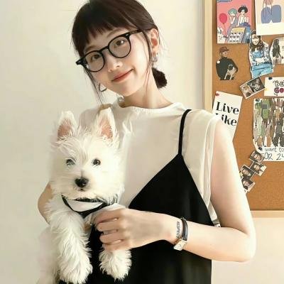 新东京猫猫